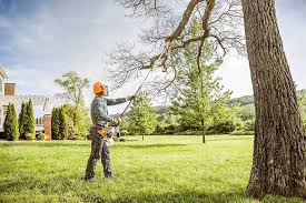 Best Storm Damage Tree Cleanup  in Kincaid, IL